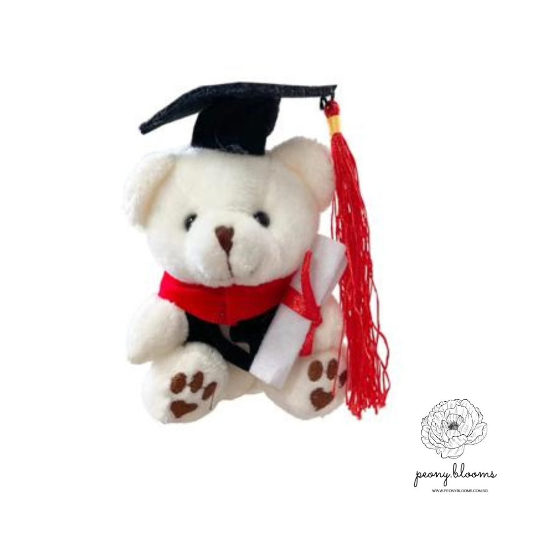 Pettie Graduation Bear 