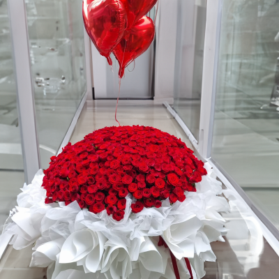 520 Roses – I LOVE YOU