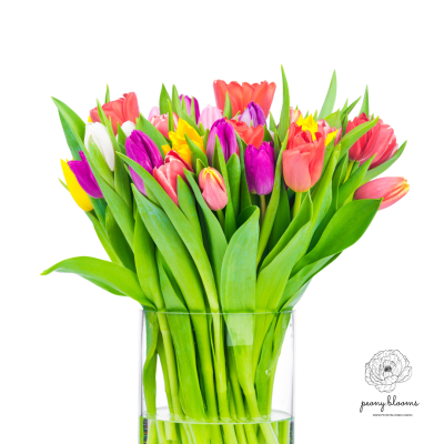 Weekly Fresh Flowers Vase Subscriptions