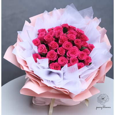 33 Barbie Pink Roses