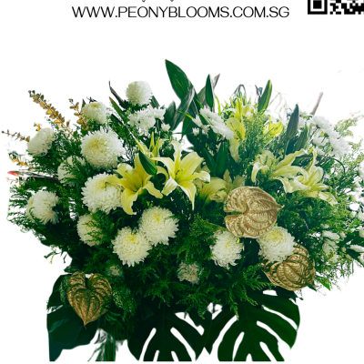 Purest Lux Sympathy Stand