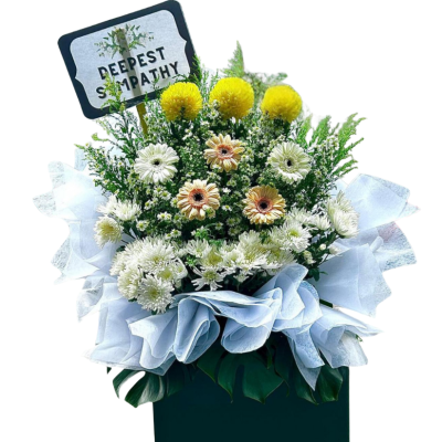Lux Sym Bloom Sympathy Stand