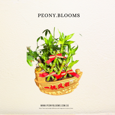 SMOOTH SAILING BAMBOO POT