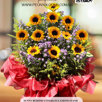 Sunny Blooms Congratulations Stand GOS24