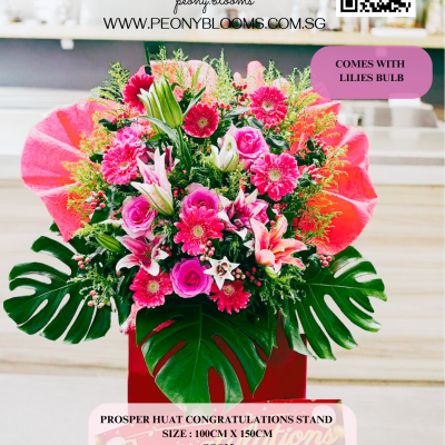 Prosper HUAT Congratulations Stand GOS25