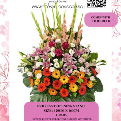 Brilliant Opening Stand GOS05