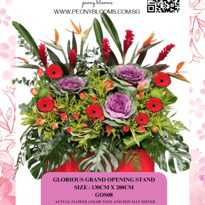 Glorious Grand Opening Stand GOS08