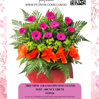 Triumph Grand Opening Stand GOS14