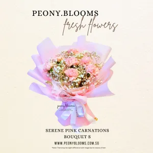 Serene Pink Carnations Bouquet